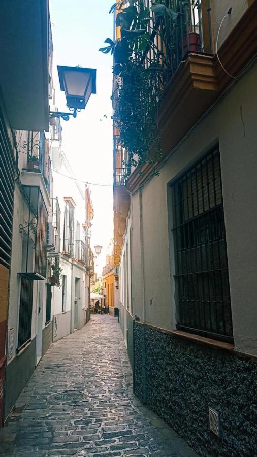 Rentalsevilla Tintes 外观 照片